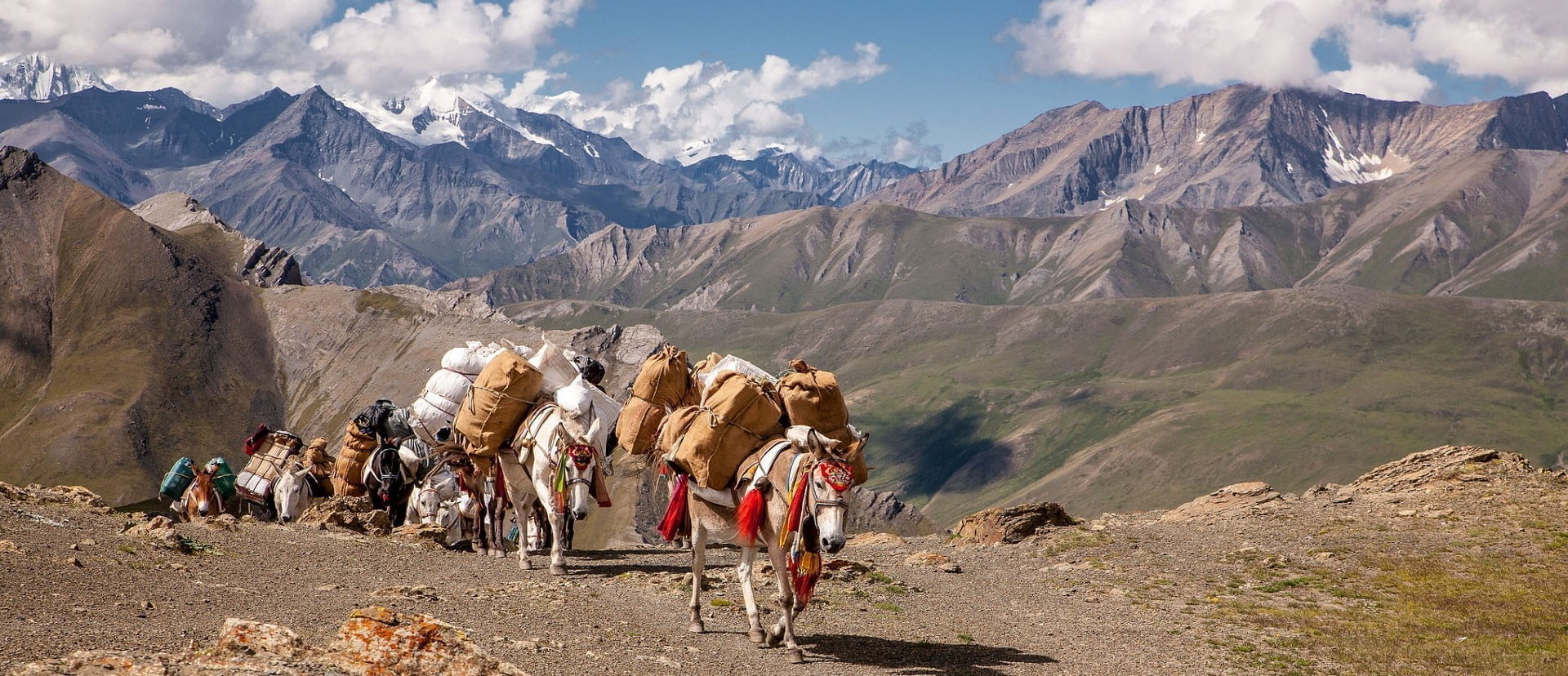 langtang valley trek, helambu trek