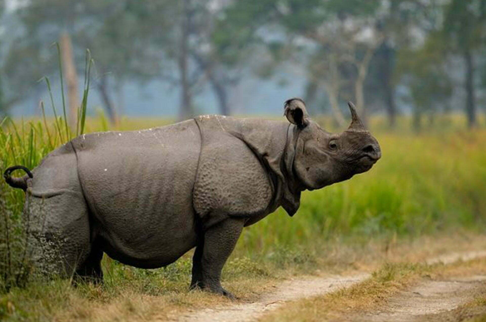 chitwan national park tour
