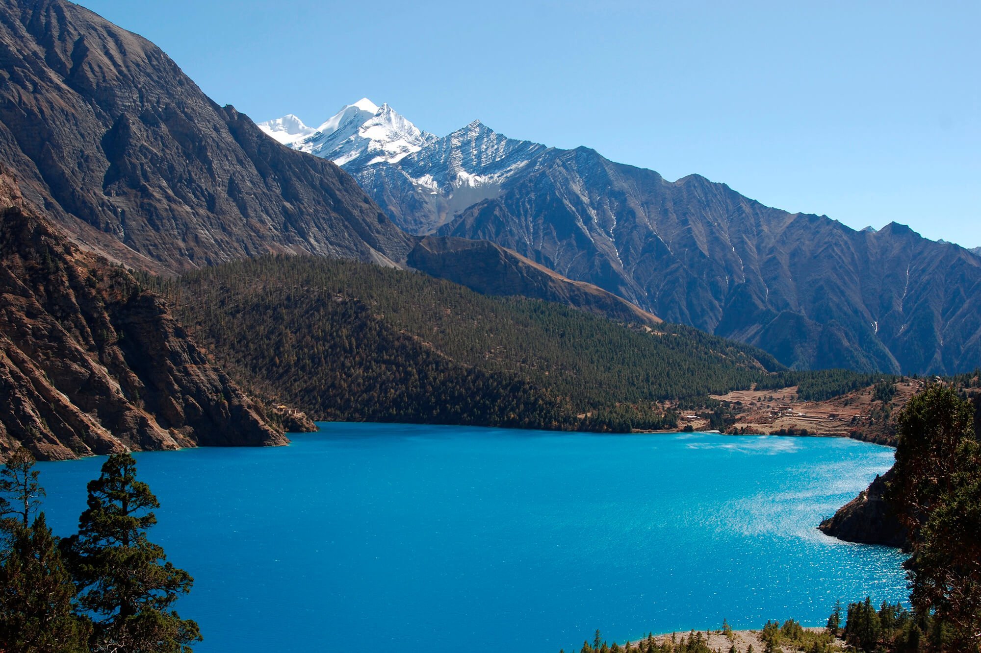 shey phoksundo lake trek, phoksundo lake trek, phoksundo lake