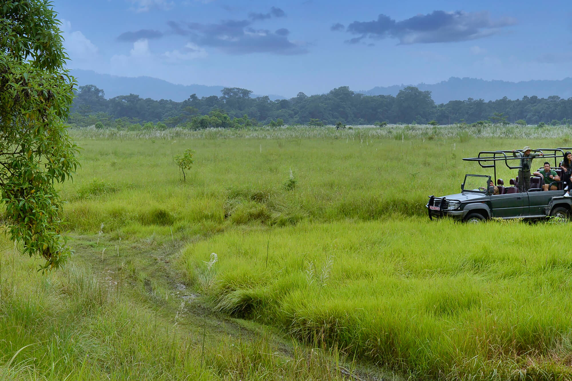 chitwan jeep safari