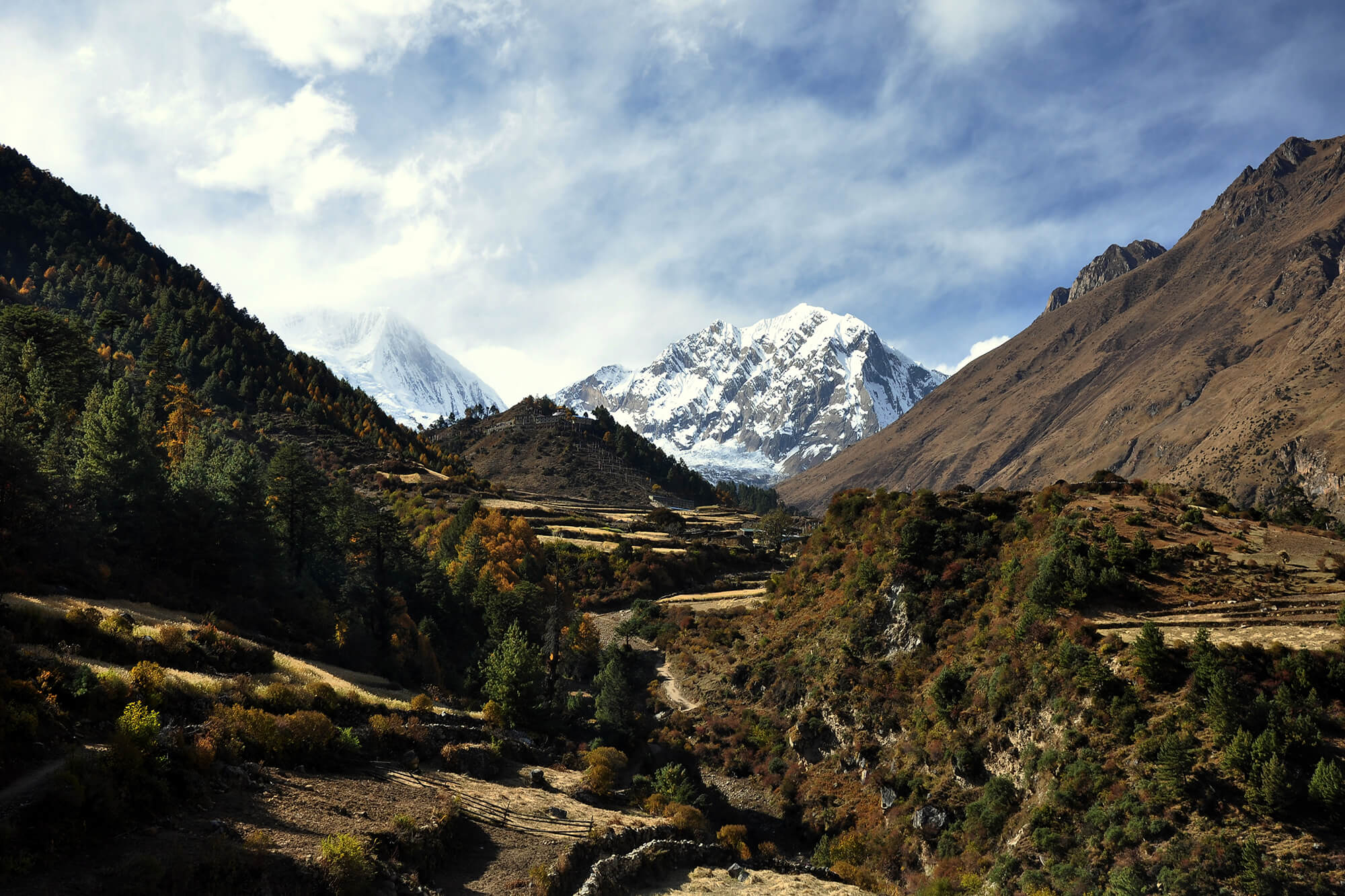 Samagaun